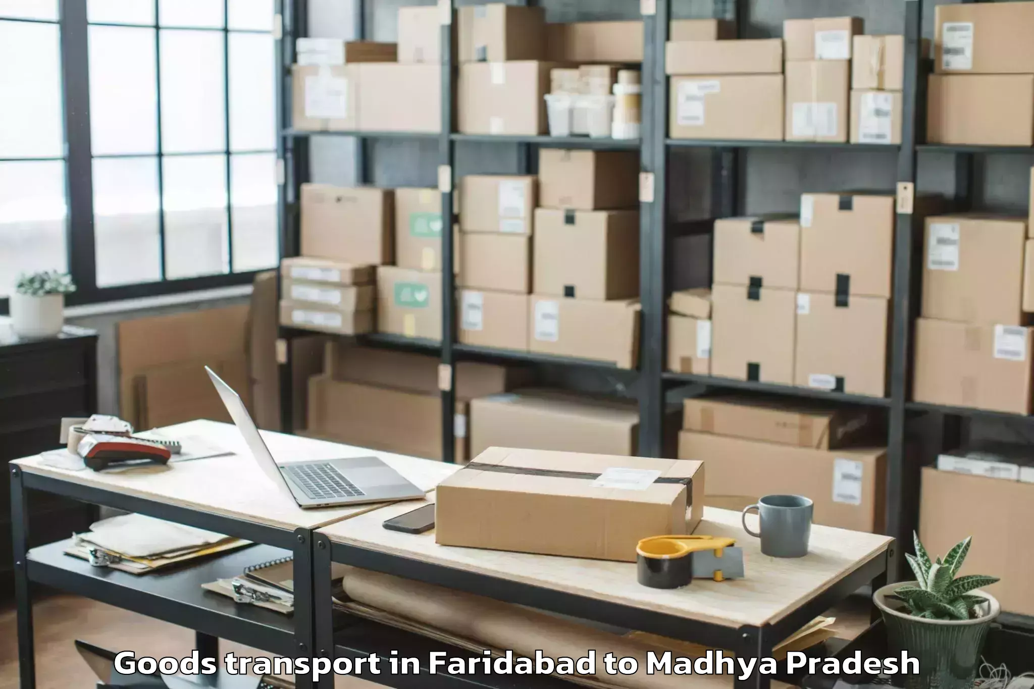 Quality Faridabad to Raghogarh Vijaypur Goods Transport